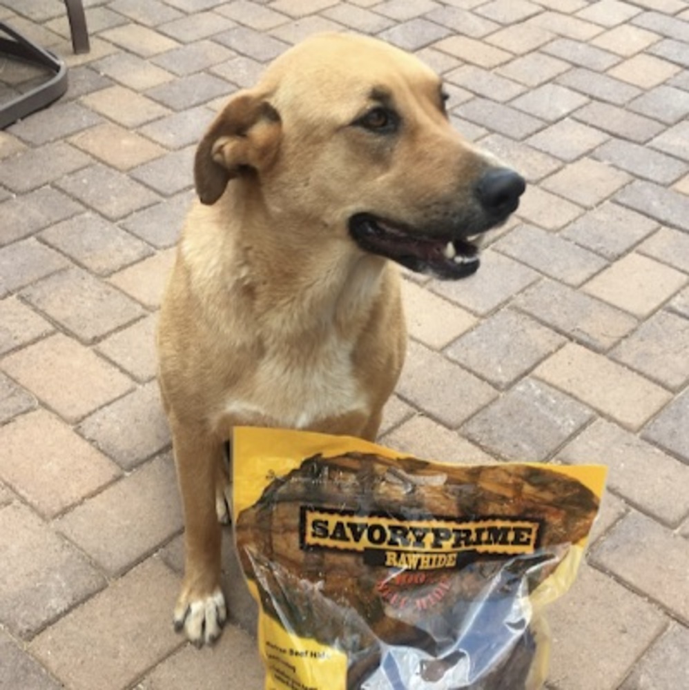 Meet your Posher, Joselin